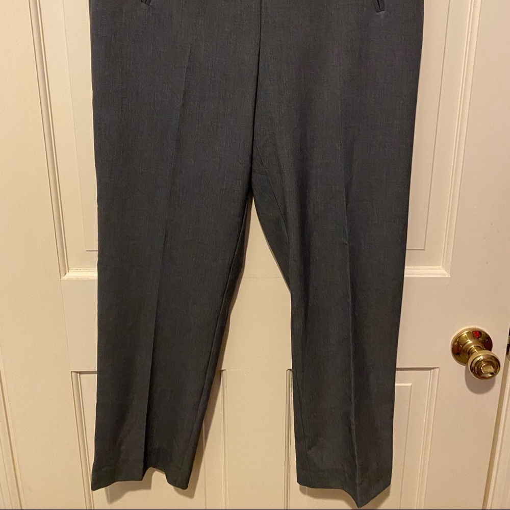 Briggs Woman's Dark Gray Dress Pants SIZE 10P - Picture 2 of 6